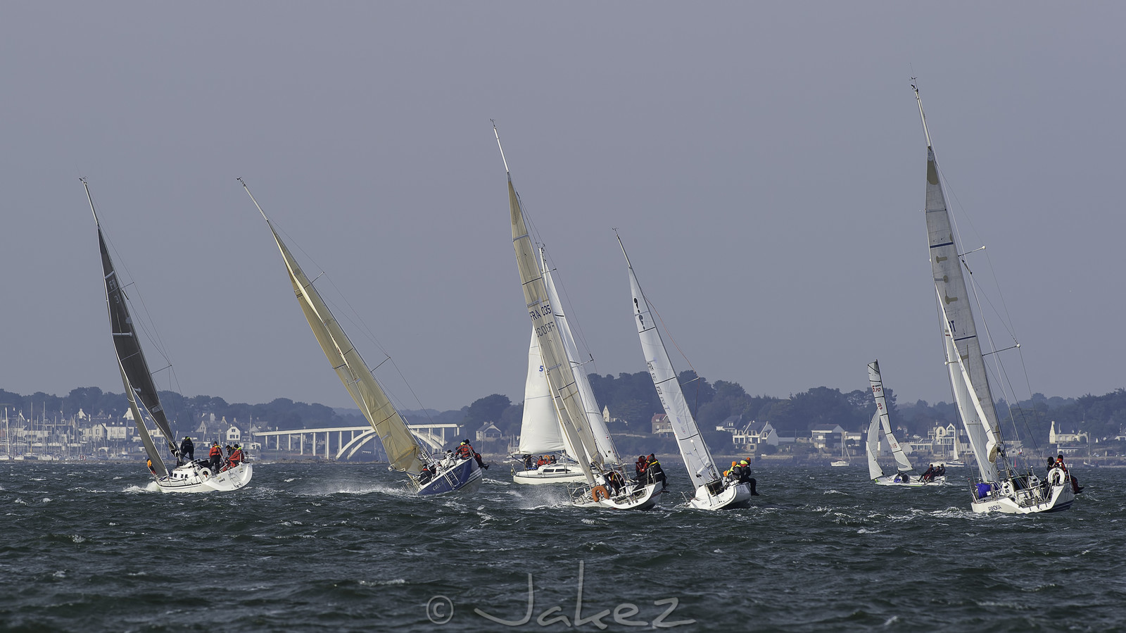163.jpg