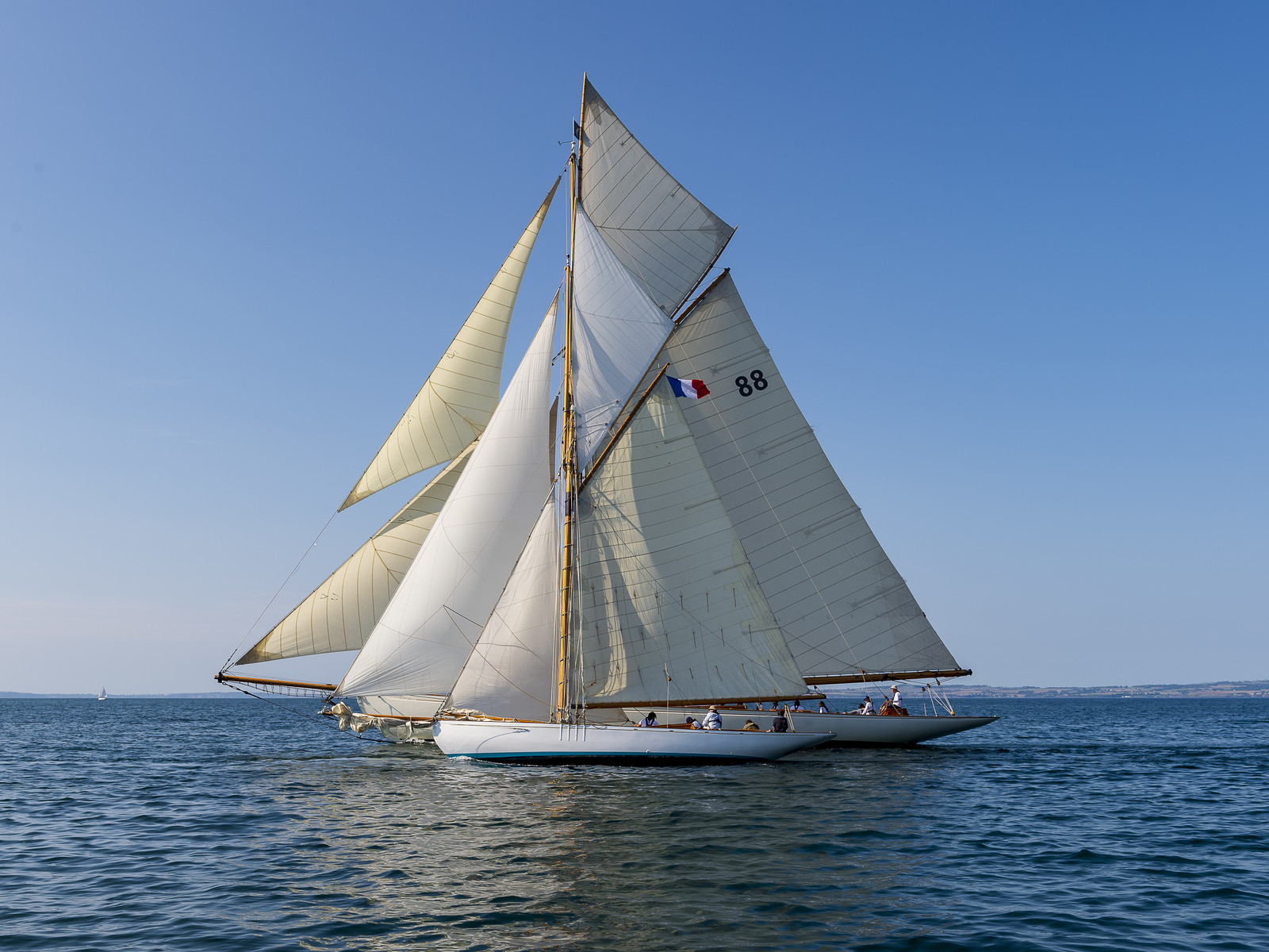 194-hoalen-2024.jpg