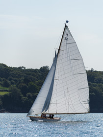 122-hoalen-2024.jpg