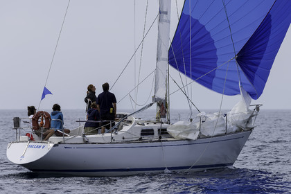 319-osiris-irc-samedi-.jpg