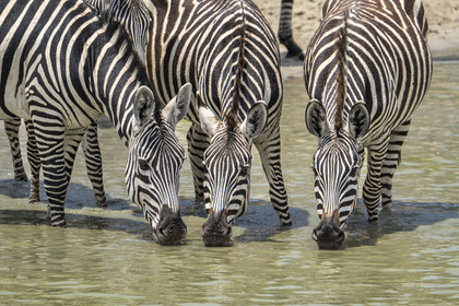 0039-tanzanie-2022.jpg