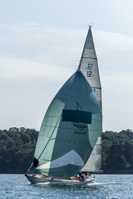 128-hoalen-2024.jpg