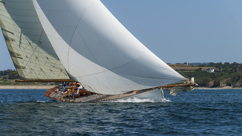 133-hoalen-2024.jpg