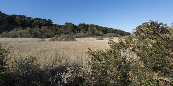 034-etang-de-trunvel.jpg