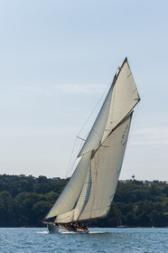 103-hoalen-2024.jpg