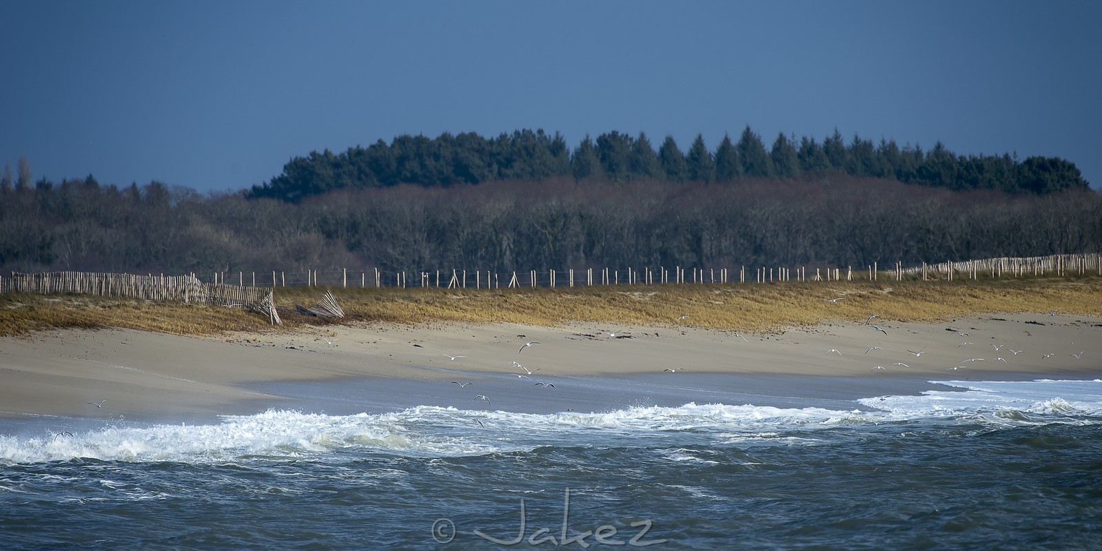 050-Surf