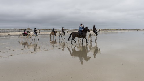 022-chevaux-a-tronoen.jpg