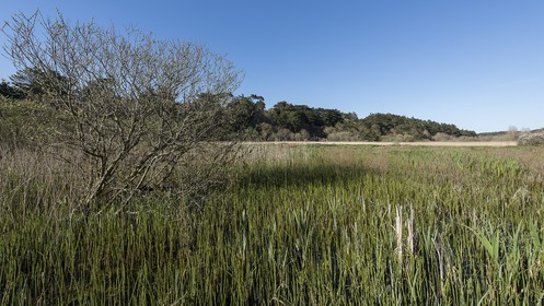 036-etang-de-trunvel.jpg