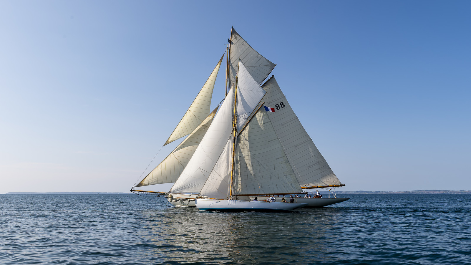 195-hoalen-2024.jpg