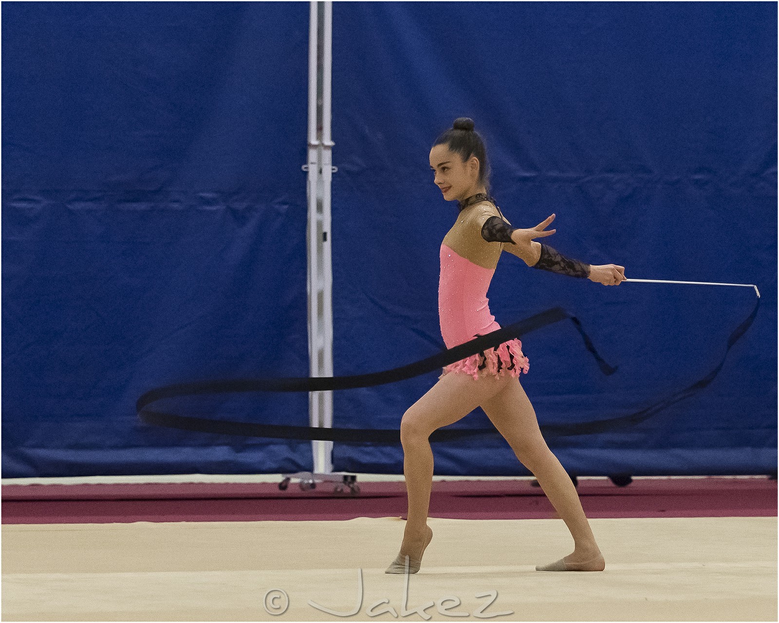 R4-28-08-PARE Elise