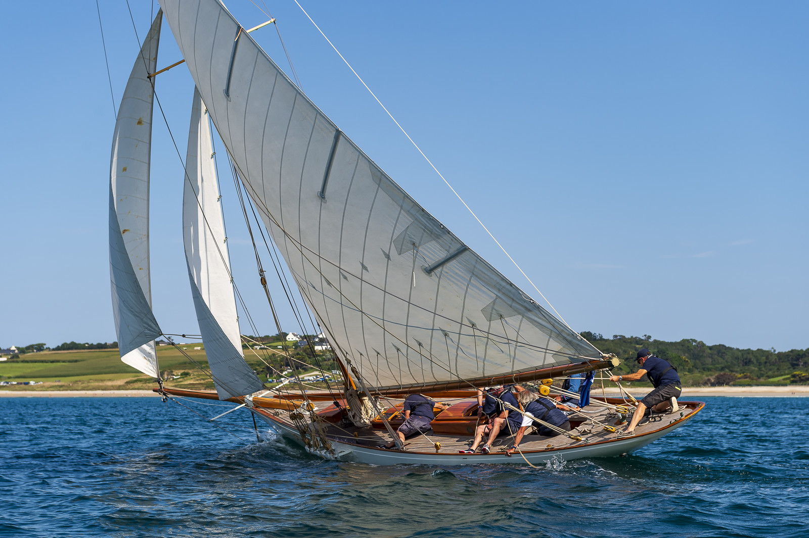 148-hoalen-2024.jpg