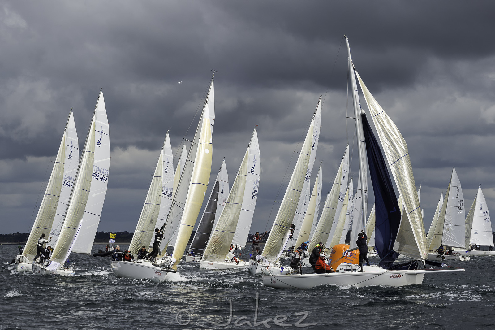156-spi-2017.jpg