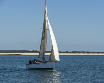 10-Glazigouden