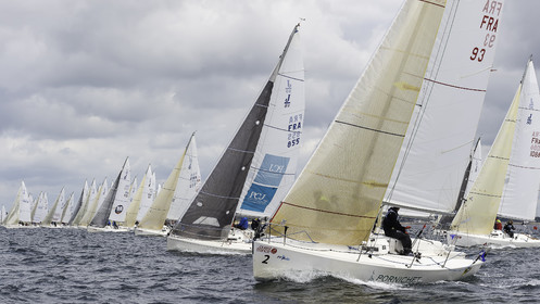 146-spi-2017.jpg