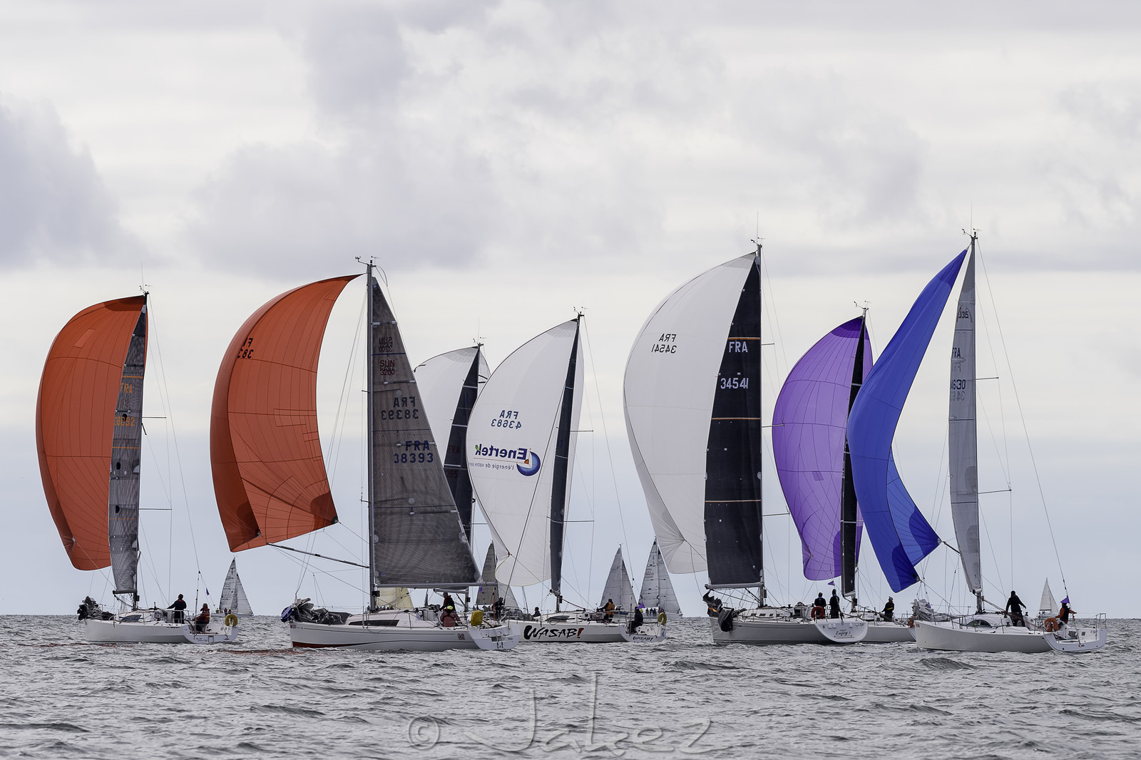 017-spi-2017.jpg