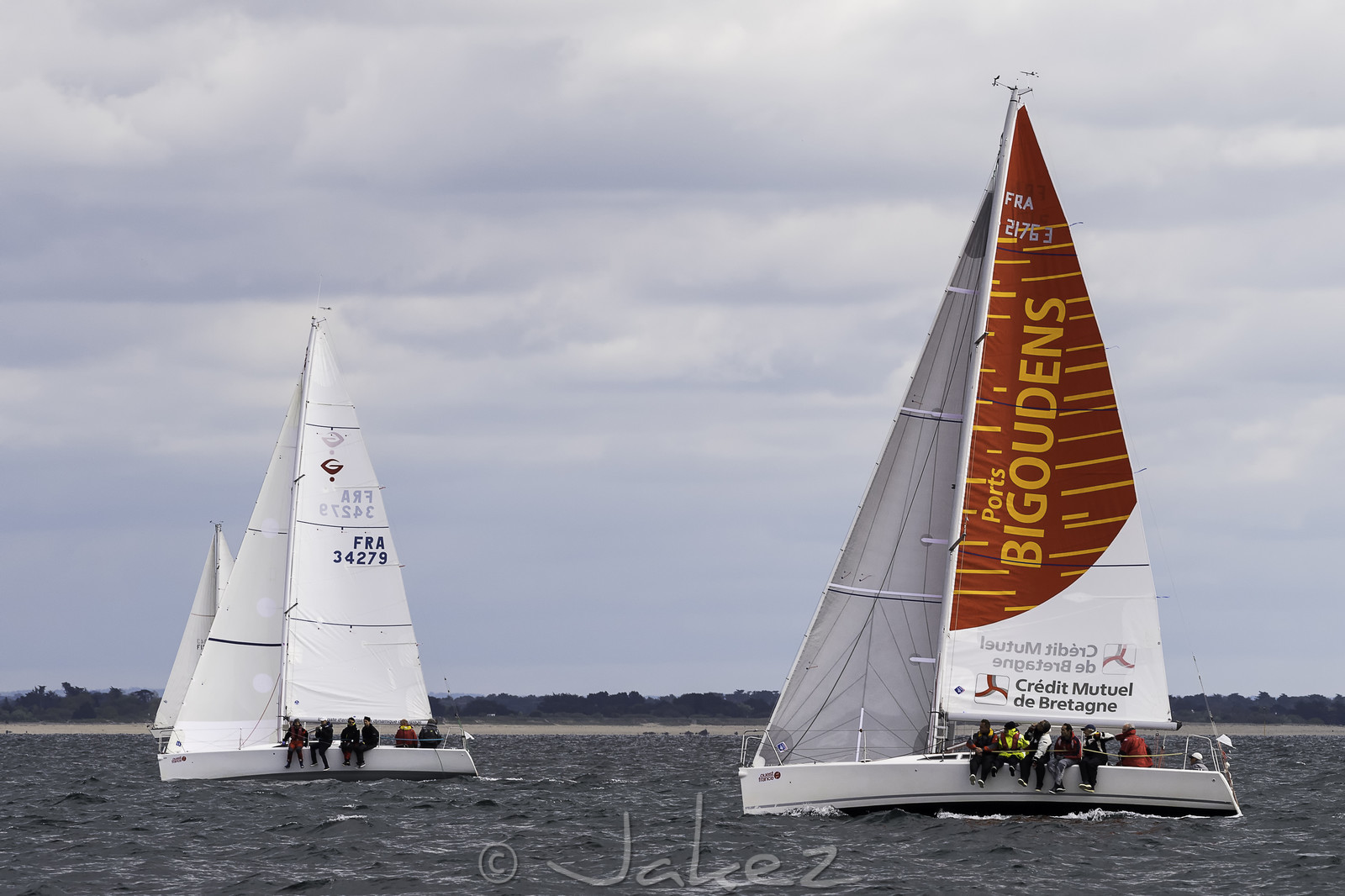 203-spi-2017.jpg