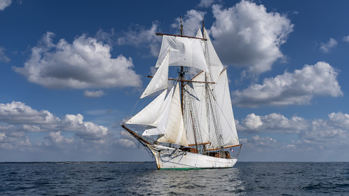 69-etoile.jpg