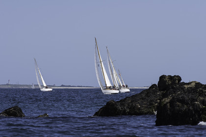 194.jpg