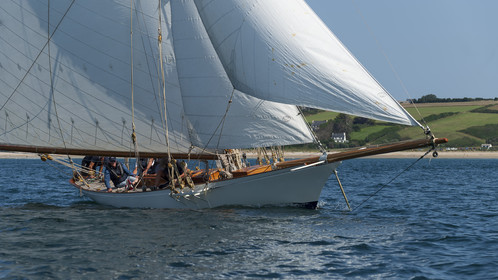 131-hoalen-2024.jpg