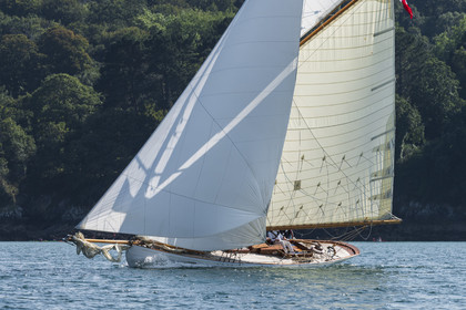 179-hoalen-2024.jpg