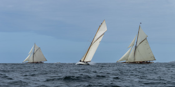La Hoalen Brest-Douarnenez Classic Finistere est une régate de voiliers classiques magnififiques.