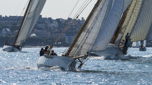 169-hoalen-2024.jpg