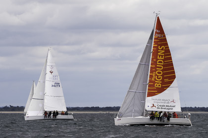 203-spi-2017.jpg